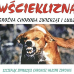 szczepienia-przeciw-wściekliźnie