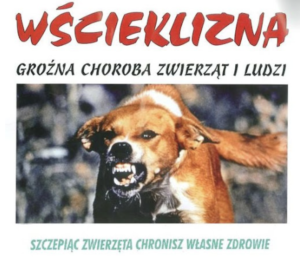 szczepienia-przeciw-wściekliźnie